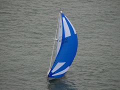 NC160166