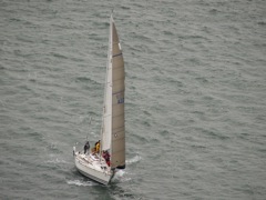 NC160219