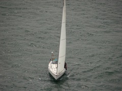NC160226