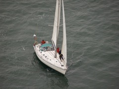NC160231