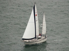 NC160274