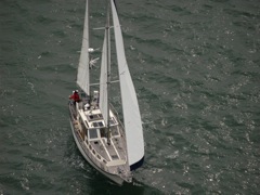 NC160281