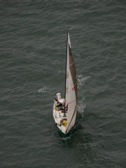 NC160116