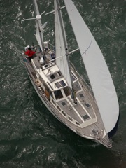 NC160288