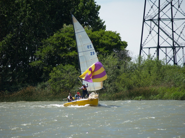 NC010310