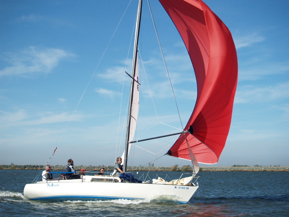 NC010331