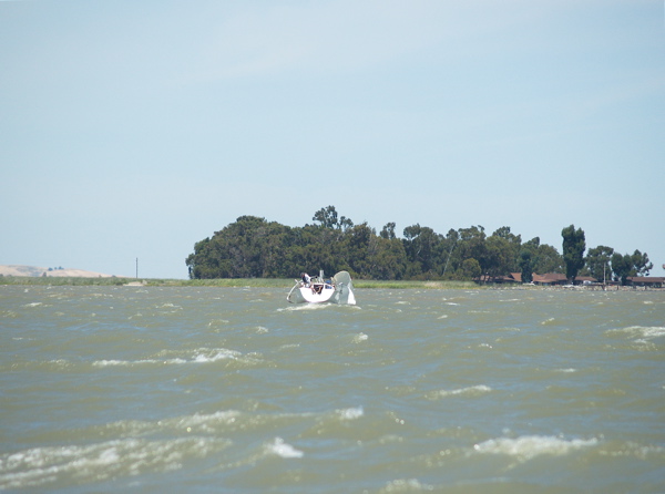 NC010260