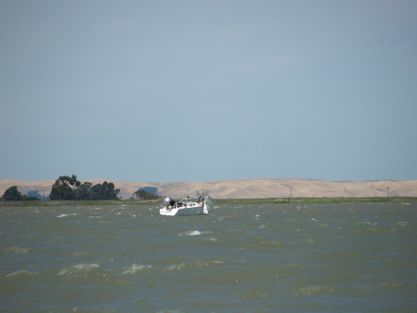 NC010263