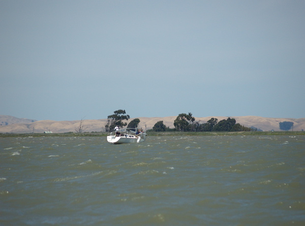 NC010264