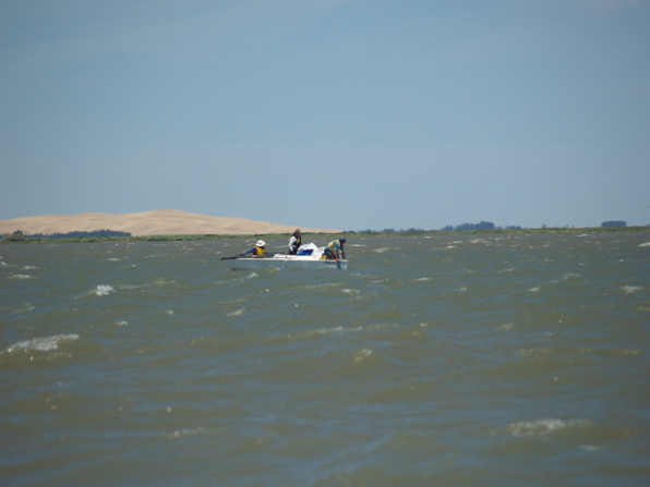 NC010267