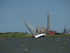 NC010278