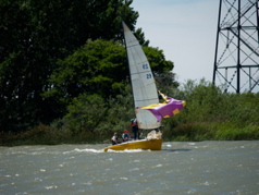 NC010311