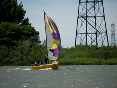 NC010313