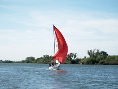 NC010329