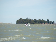 NC010260
