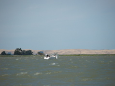NC010263