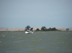 NC010264