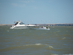 NC010266