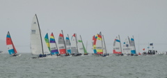 DSCF2347