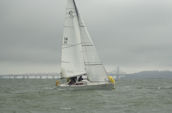 DSC_0246