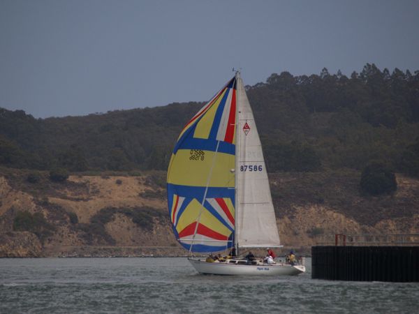 NC310216
