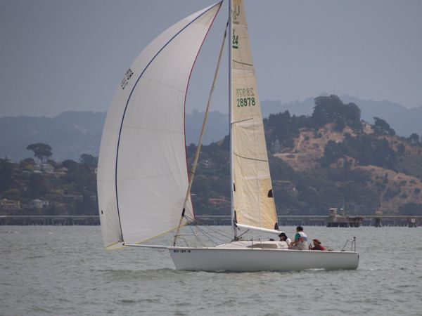 NC310226