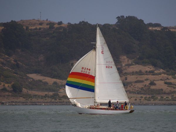 NC310228