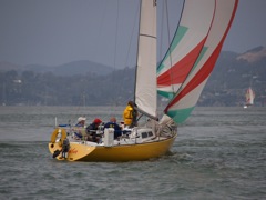 NC310137