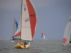 NC310141