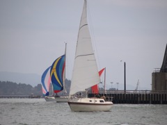 NC310157