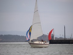 NC310158