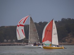NC310159