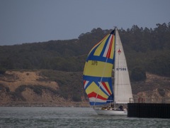 NC310215