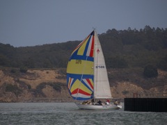 NC310216