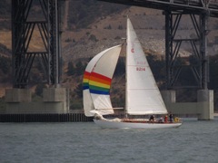 NC310222
