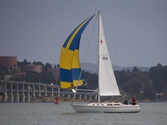 NC310225