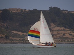 NC310228