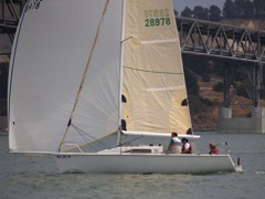 NC310231