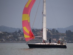 NC310234