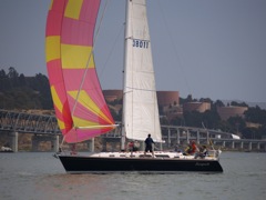 NC310236