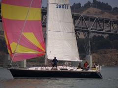 NC310237