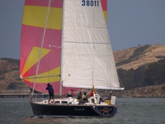 NC310244