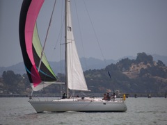 NC310246
