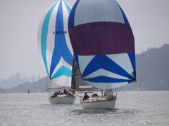 NC310251