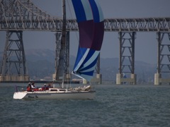 NC310261