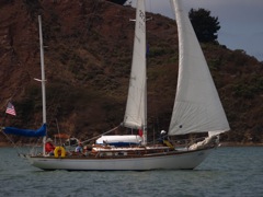 NC310266