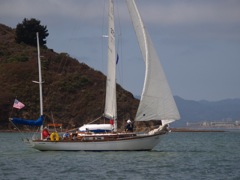 NC310267