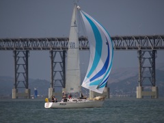 NC310269