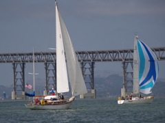 NC310270