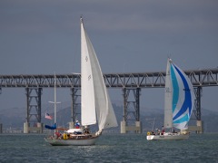 NC310271
